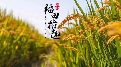 【七绝八首】王新华（一片云）河北【冰心文化传媒】主编 冰心（图8）