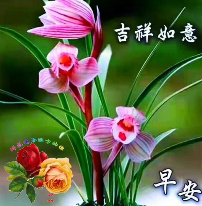 韵芘胡桂芹《鹧鸪天•思亲十赋鹧鸪天》十阕l金牌主播宏红（许世红）丨中国桂林都市诗社752期（图4）