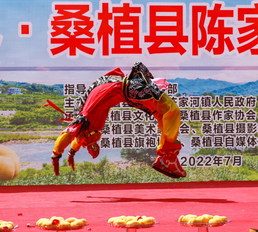张家界市·桑植县陈家河镇首届蟠桃会诗作(图5)