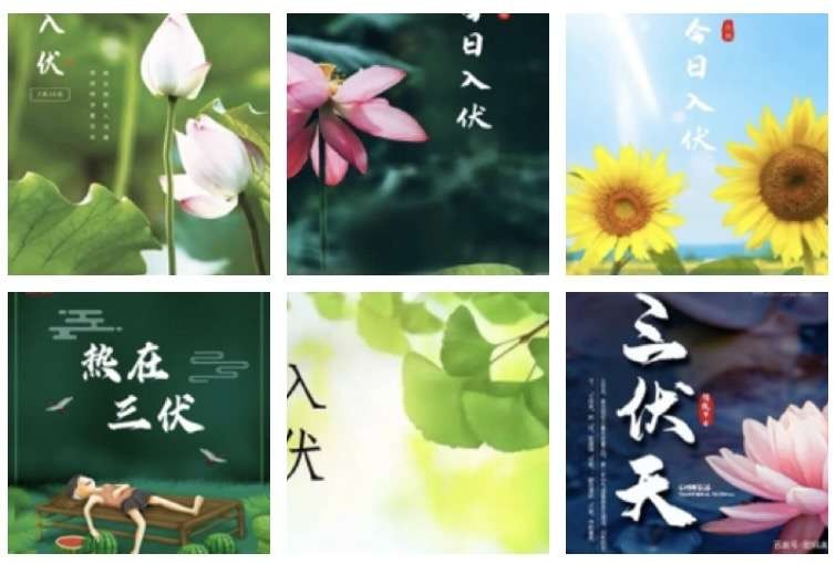 【诗词小辑】作者 文/风鸽(张晓峰)【冰心文化传媒】主编冰心(图5)