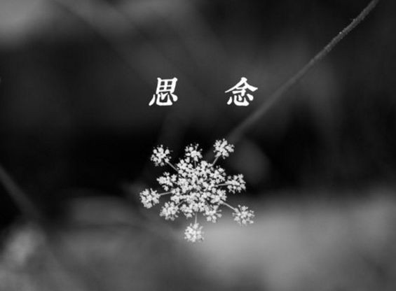 【枫雅汇看图约诗】诗人陈江《163期》（思念）（图5）