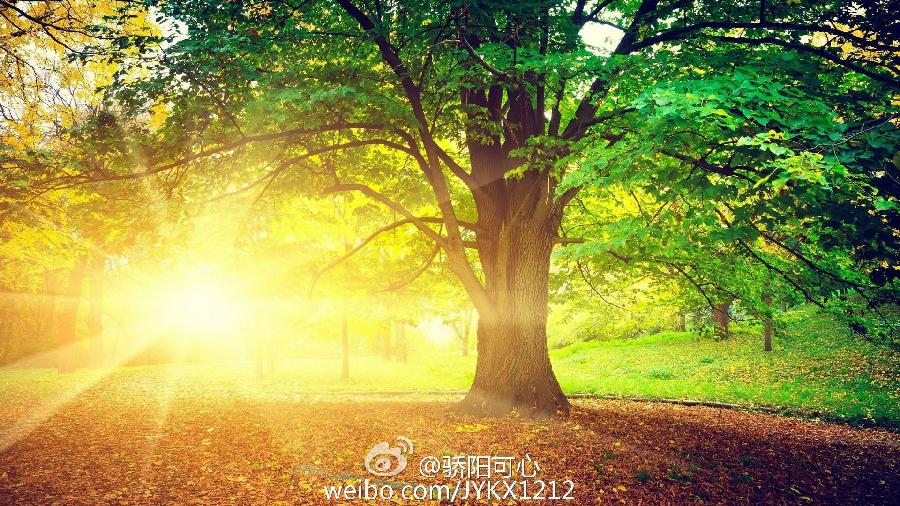 《汤晓伟-散文选》(图10)