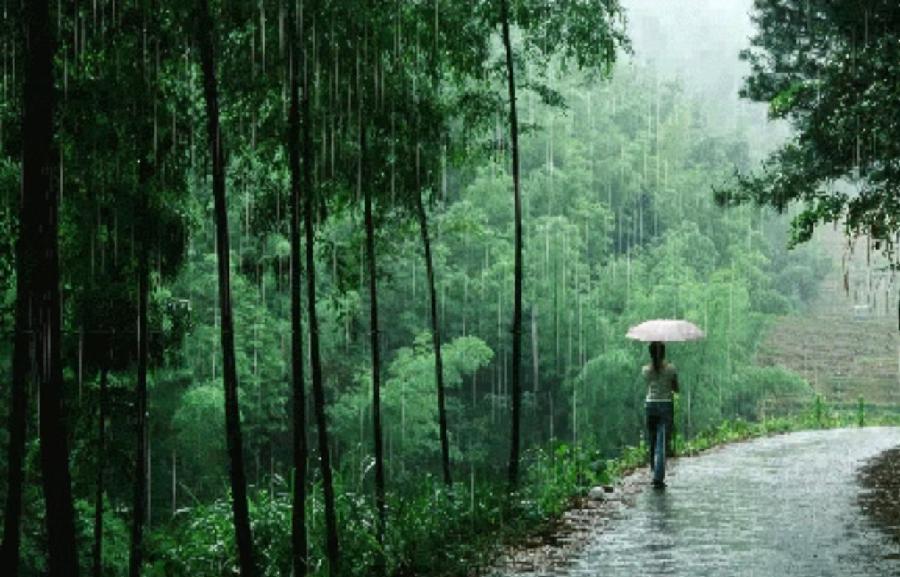 烟波钓徒:题图诗十首(图25)