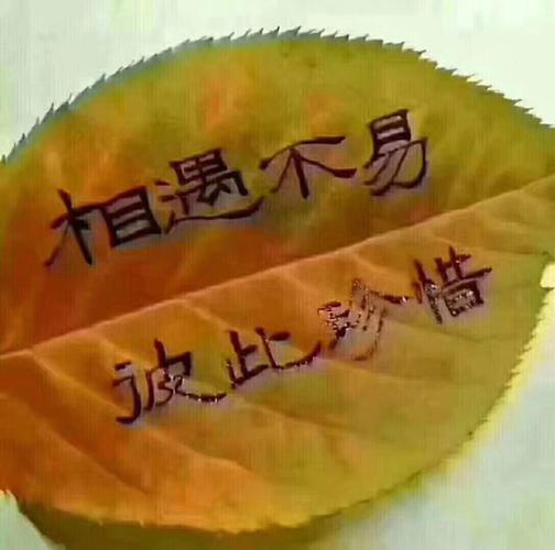 【原创】诗组 作者/中国最美作家,头条红榜诗人曾云香女士(图3)