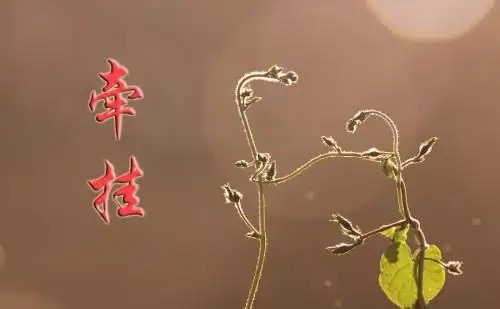 【原创】诗组 作者/中国最美作家,头条红榜诗人曾云香女士(图4)