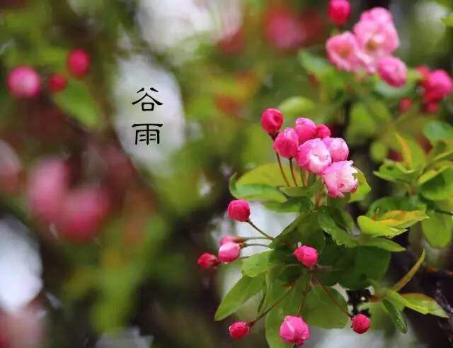 《故道文化》“消夏”参赛作品：第28号（图2）