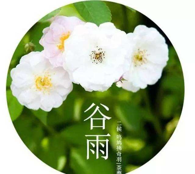 《故道文化》“消夏”参赛作品：第28号（图3）