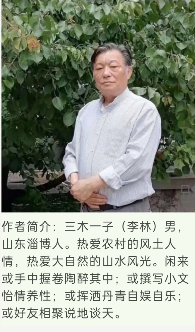 现代诗•永远的晨歌（外一首）文/三木一子（图4）