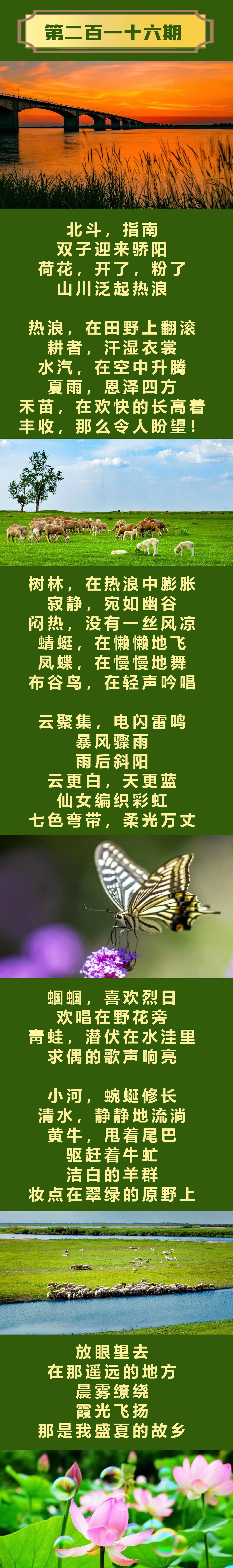 鐩涘鐨勬晠涔?-2.png