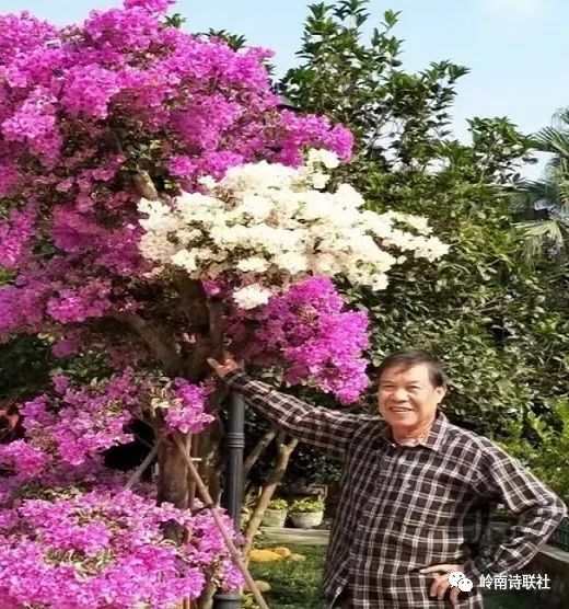岭南诗联社(第171期)格律诗词专辑(图3)