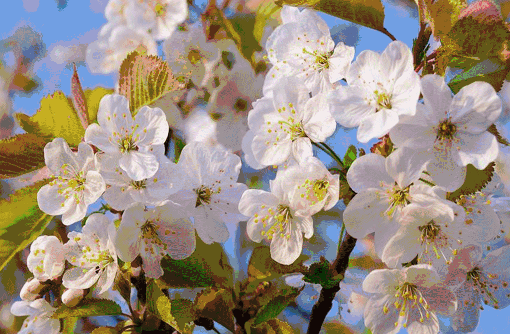 【华夏好诗词】分享独狼《咏梨花十八首》请欣赏（图9）