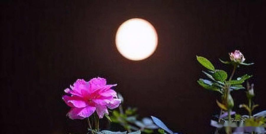钱海森—《刘邦的脚》—（华夏思归客诗鉴征稿）—原创诗歌—都市头条（图3）