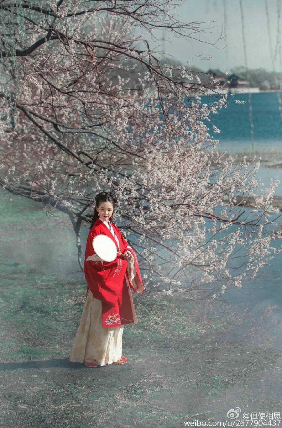 【鹧鸪天1至14韵诗集】作者 青苹果（甘肃天水）【冰心文化传媒】主编 冰心（图16）