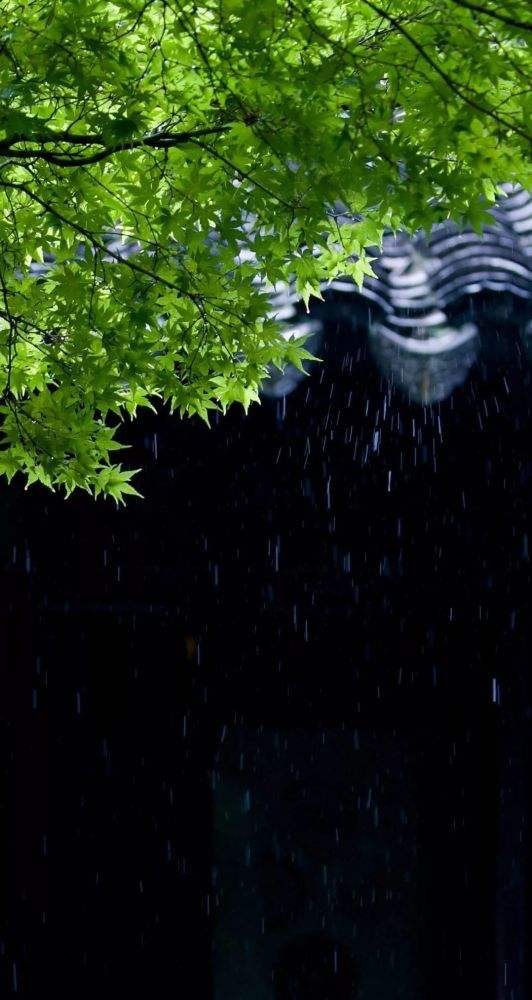 七绝 雨中漫步（外四首）文／张昕