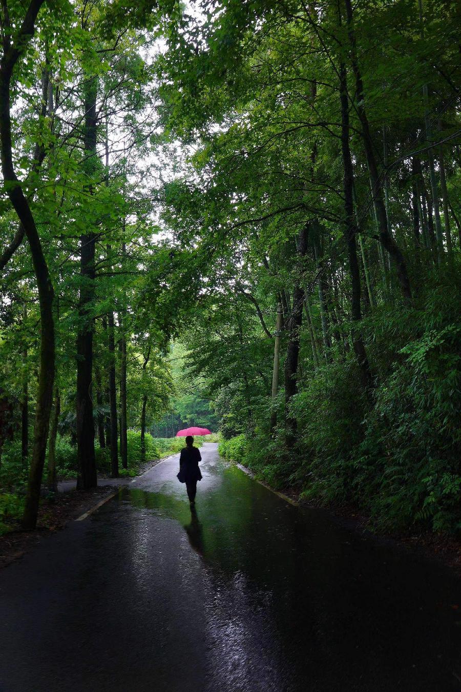 暑天雨  何其山（山西太原）