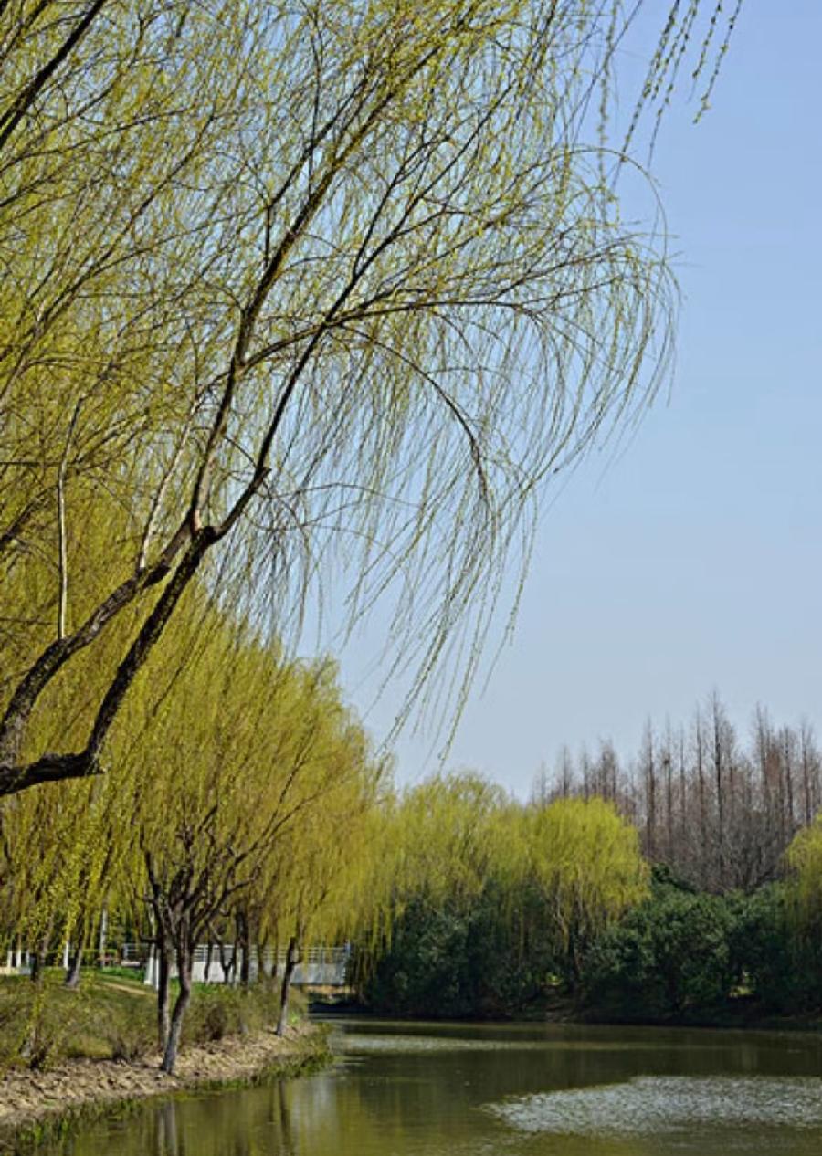 烟波钓徒诗词二十首(图36)