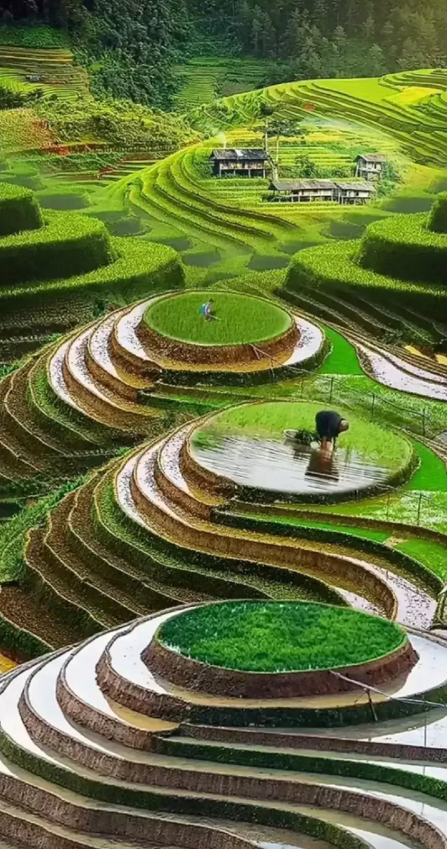 烟波钓徒诗词二十首(图35)