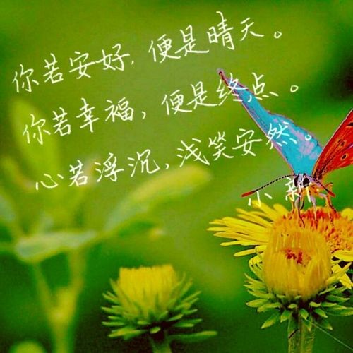 [北京头条]《你若安好便是幸福》作者/雨下罗加，主播/柔荑