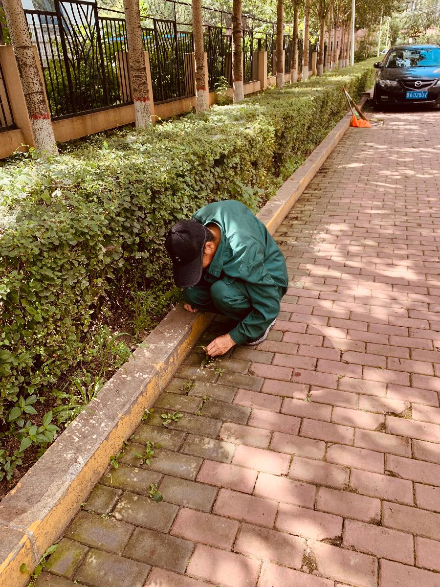 你低着头，在炎热下，作者金色年华