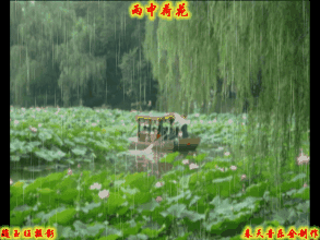 七绝十首‖雨荷 作者‖武书尧（图2）