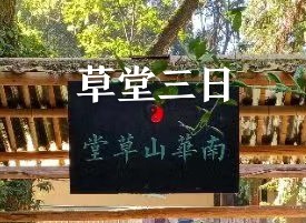 楚山:草堂三日
