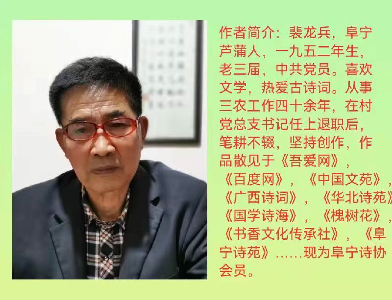 曲式十六字令八首 文／裴龙兵（图11）