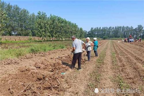 《故道文化》“消夏”参赛作品:第30号(图4)