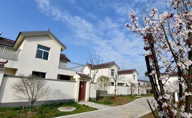 《故道文化》“消夏”参赛作品:第30号(图2)