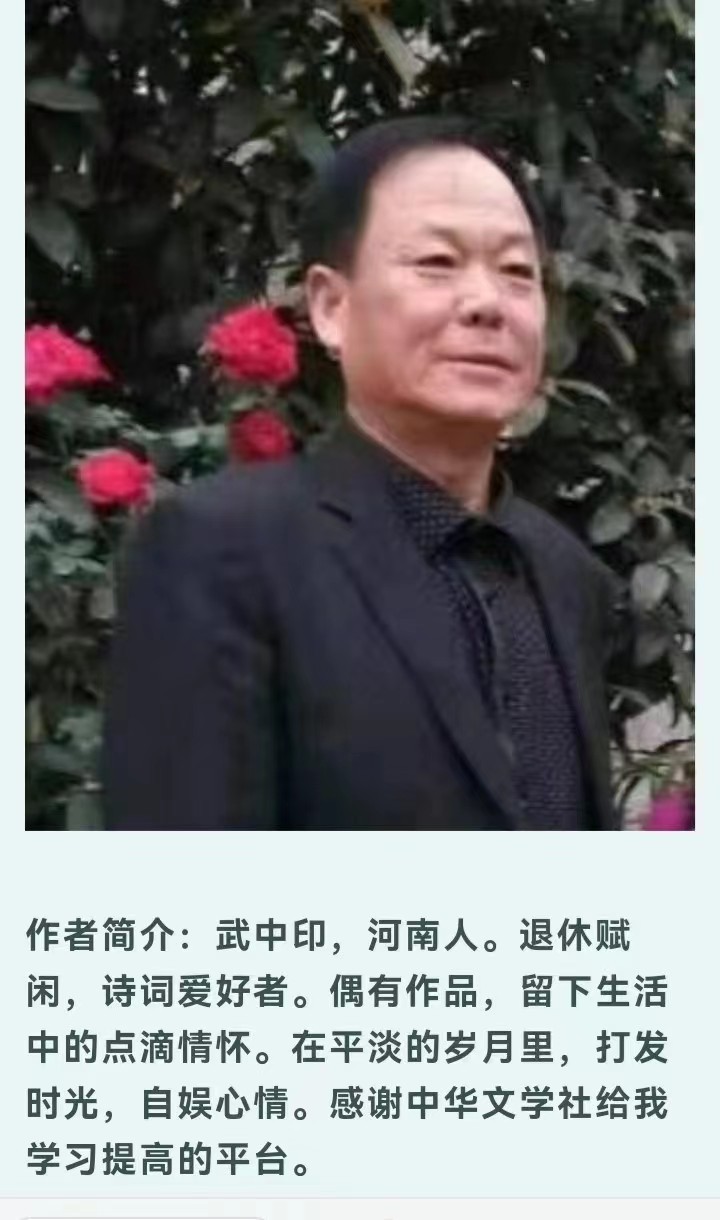 洞仙歌•青青芳草和刘秀老师赞 文/武中印 主播/山谷幽兰（图6）