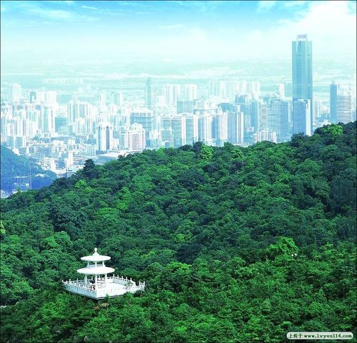 【经典推荐】曾培方//云山叠翠“白云山”｛外一首｝（图6）