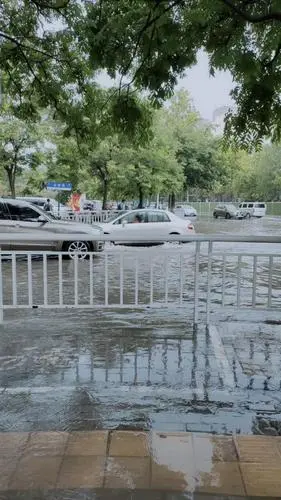 [桃源国际诗歌馨声]郑州的雨季|作者:水墨|主播:长弓雅士[总1137期]（图7）
