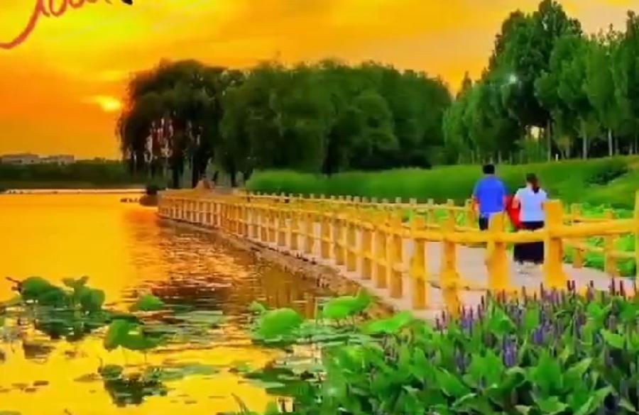 【华夏好诗词】分享王玉良《避暑休假感怀》请欣赏（图5）