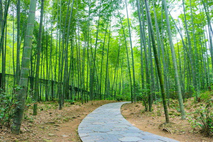 《花朝清韵》第三十八期《七月天》(图2)