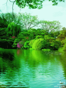 醉卧春里：作者 雪压梅枝花正怒｜海外头条（图3）