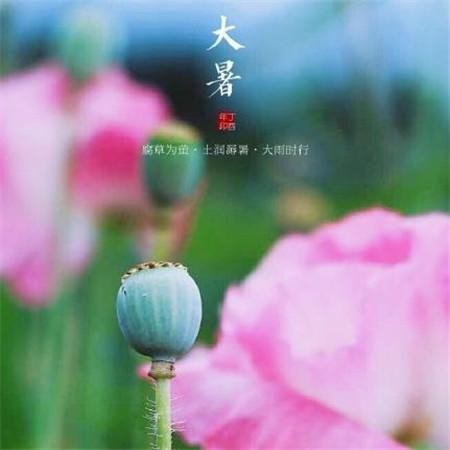 【诗词专辑五】作者 王香谷（悉尼）【冰心文化传媒】主编冰心（图16）