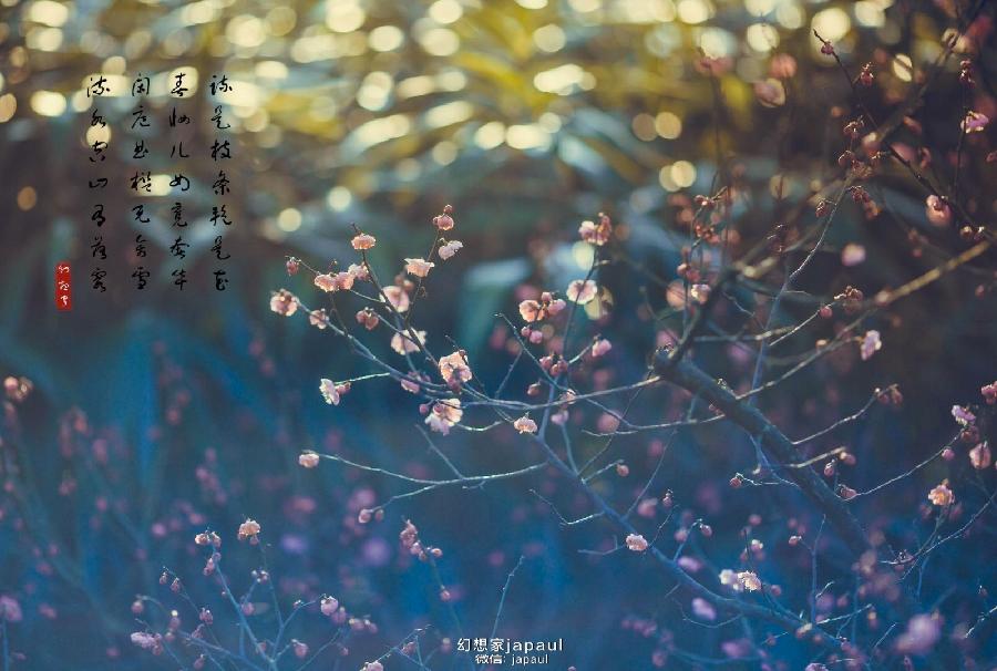弘华朗诵【梦想不需要多大的地方】作者/蓝波(图4)
