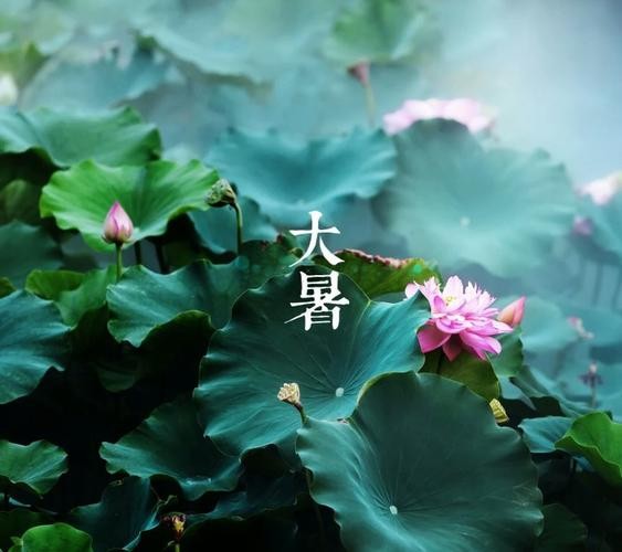 【诗词专辑五】作者 王香谷（悉尼）【冰心文化传媒】主编冰心（图15）