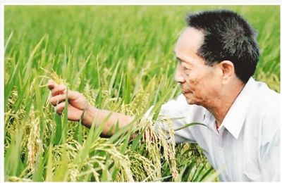 《故道文化》“消夏”参赛作品：第31号（图4）