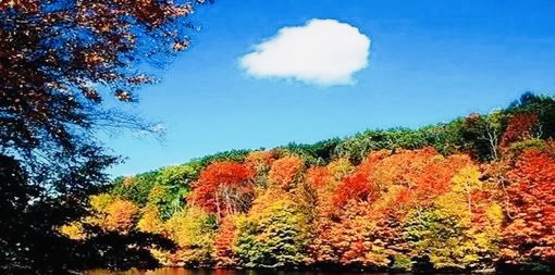【英国文学】精品游记(十六)《大山深处的美丽》作者|涂雪夫(中国)、荐稿|邓瑛(德国)(图6)