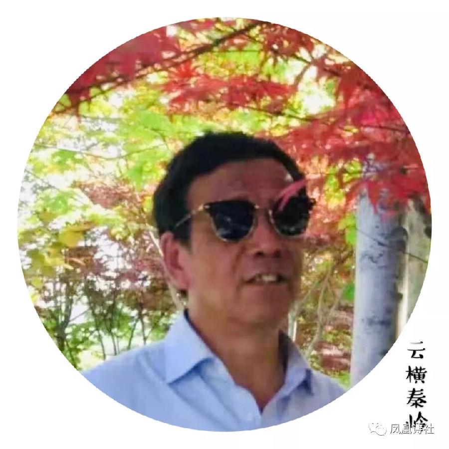 【海外诗译】精品双语朗诵《故乡》作者|云横秦岭、英译|中权、审译和朗诵|薇薇(图2)