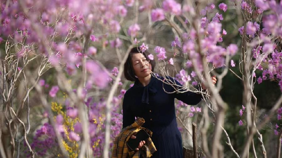 爱心无界限,救援永在线 ~文/魏青梅(图6)