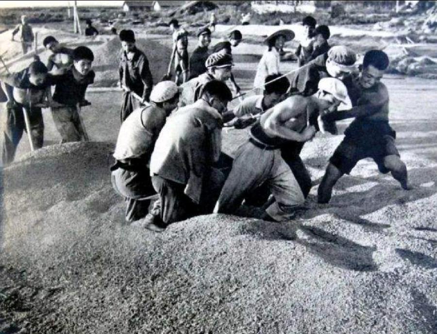 潘洋/《兵团战歌》:在真实与虚构间重回“现场” 诵读/快活林【苏河清音】上海头条【第958期】(图6)