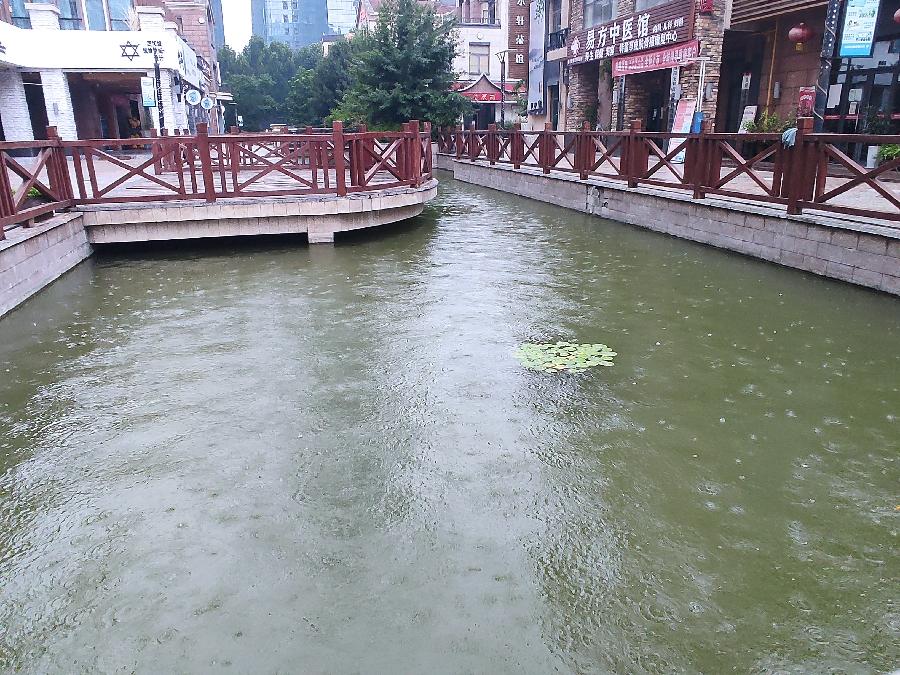 宝龙水系街倚桥看雨 原作/梁立锋（图2）