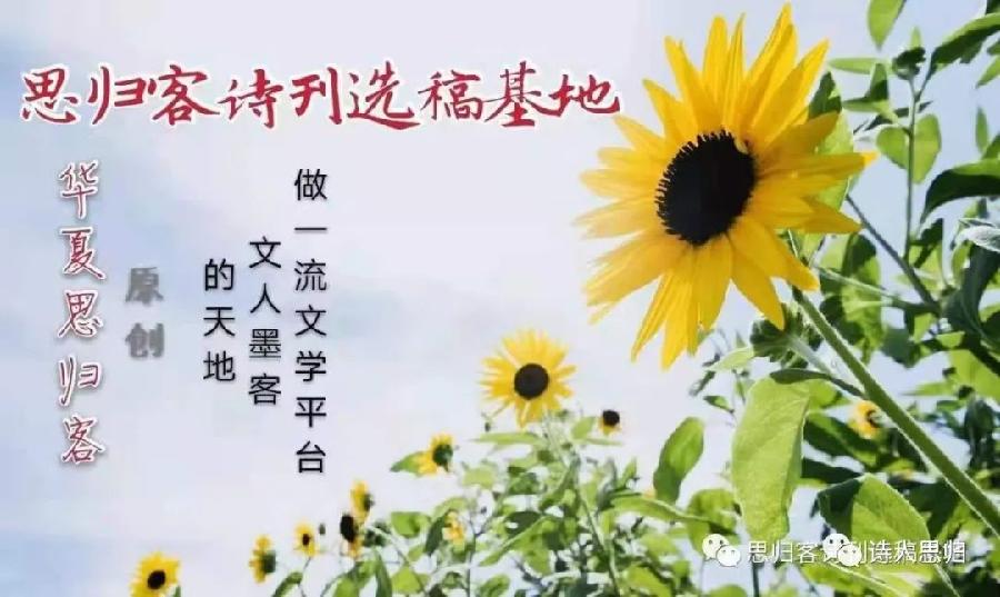 魏来安—诗歌专辑‖(华夏思归客诗鉴征稿)—原创诗歌—都市头条(图2)