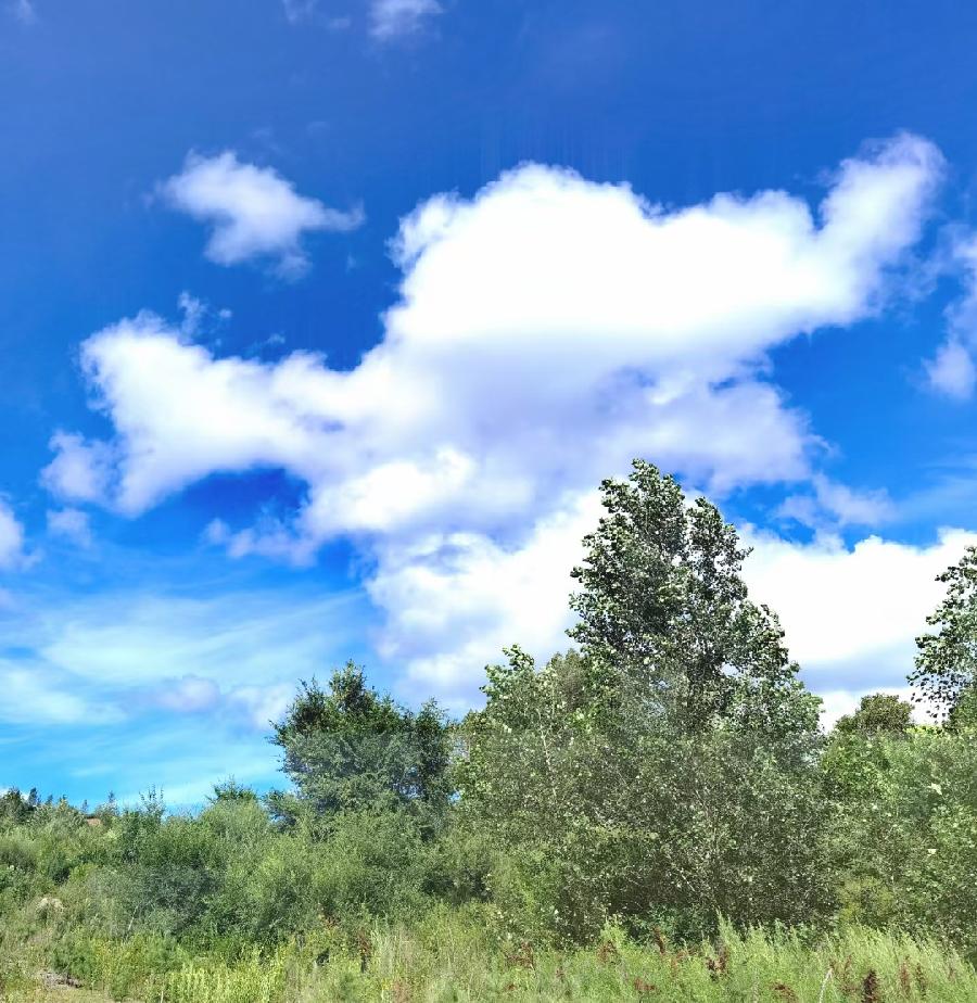 王敬红原创摄影(6)(图34)