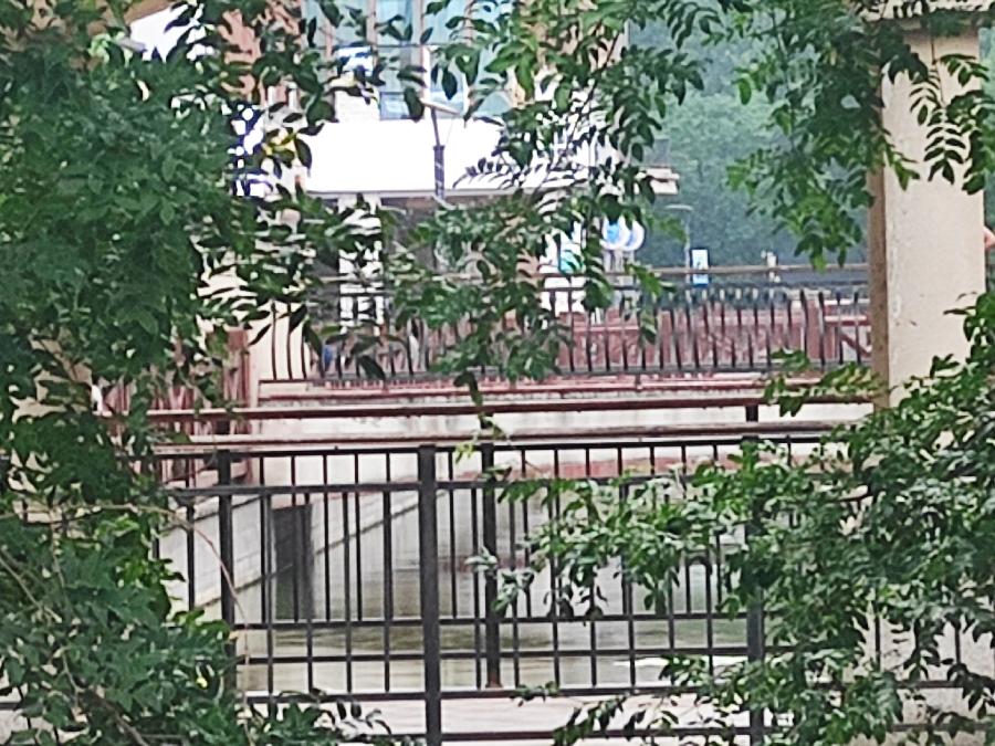 宝龙水系街倚桥看雨 原作/梁立锋（图5）