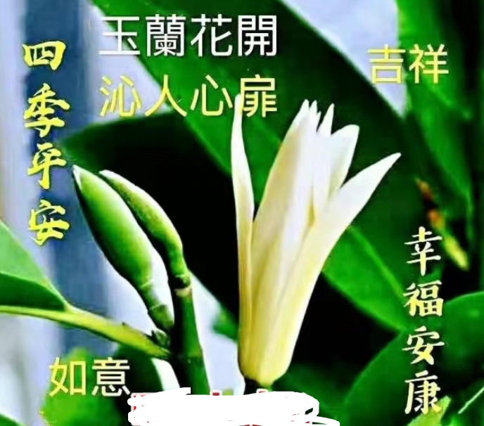 林耀平引人深思《解纷争各有其道》丨韵芘胡桂芹感赋11章|中国桂柳之春都市文学社93期(图8)