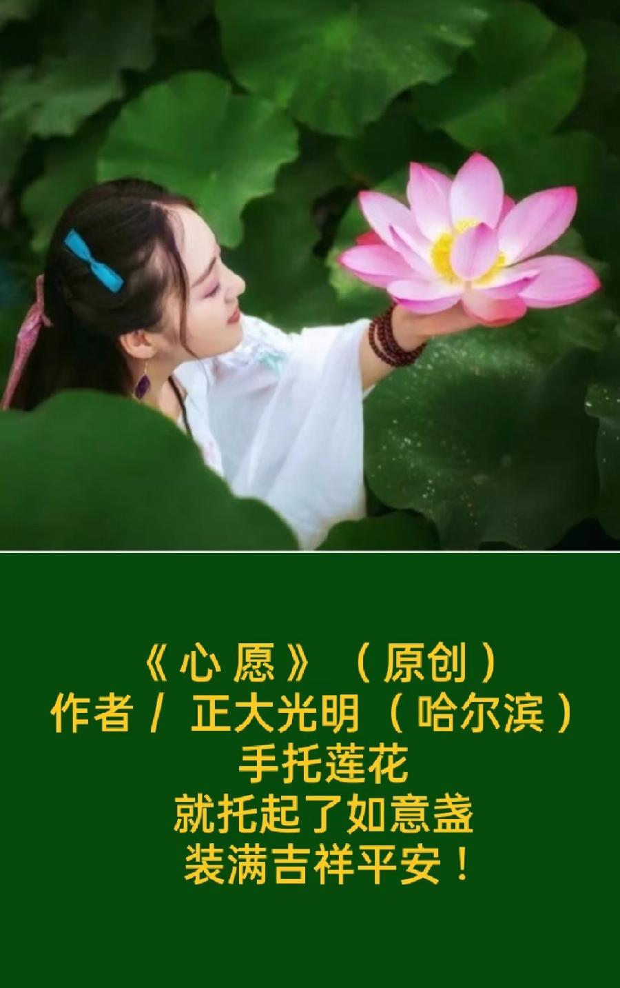 题图微诗一组 - 盛夏之莲 作者/正大光明(哈尔滨)京津沪头条
