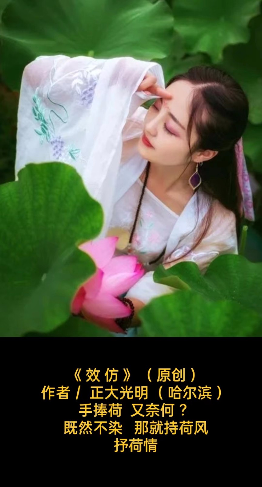 题图微诗一组 - 盛夏之莲 作者/正大光明(哈尔滨)京津沪头条(图3)