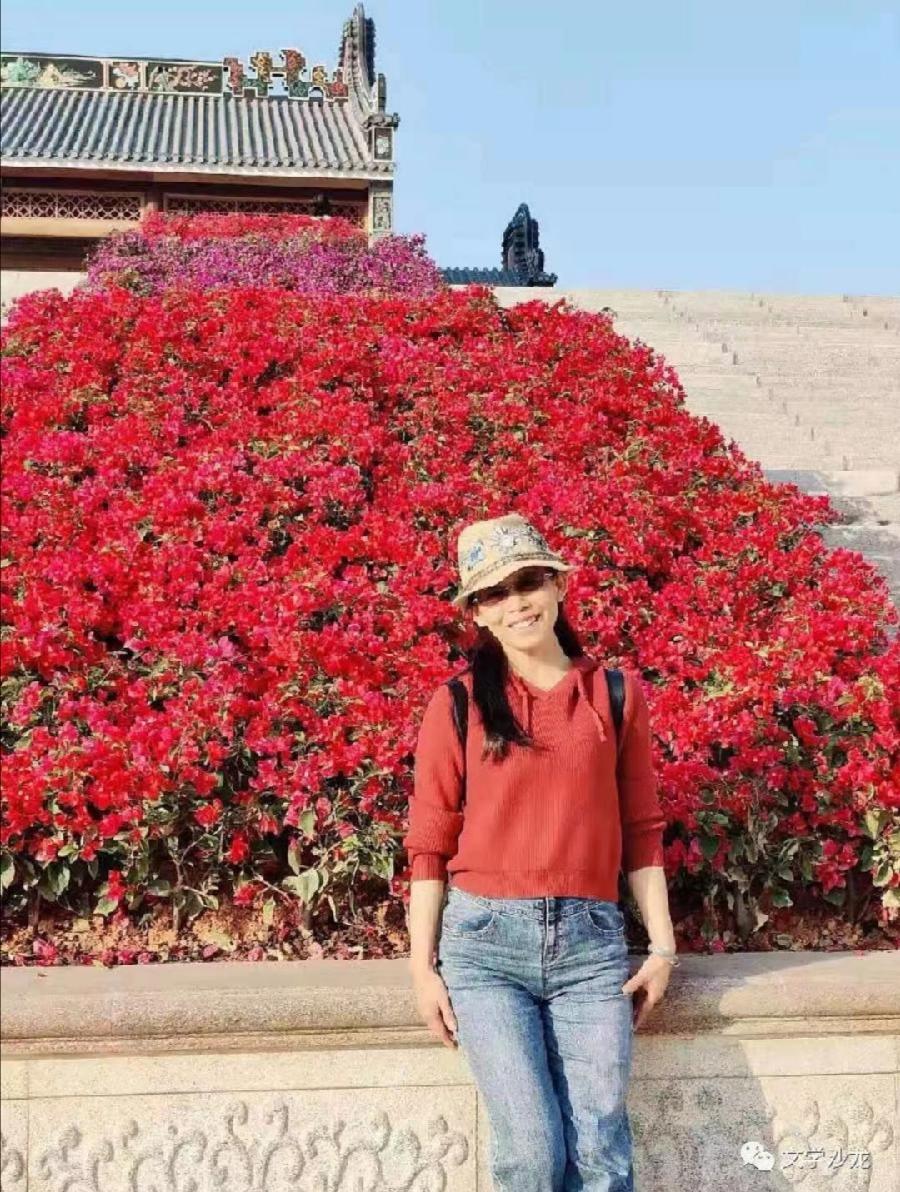 《微笑着 走自己的路》鄧瑛（德）译：魏红霞 诵：军歌 云舒【德国总社】世界诗人名人展（8859）（图13）